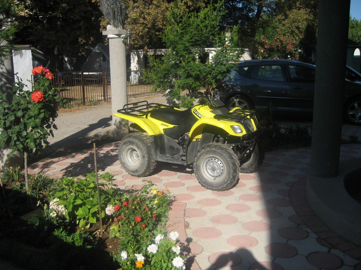 Guest House Vila Mimoza Ulcinj Eksteriør bilde